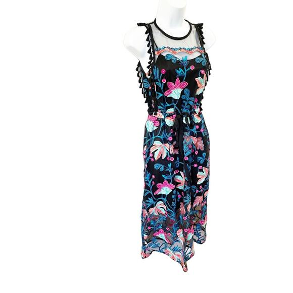 NEW Anthropologie Eva Franco Stevie Tasseled Lace Dress Size 0 Petite - Picture 3 of 13